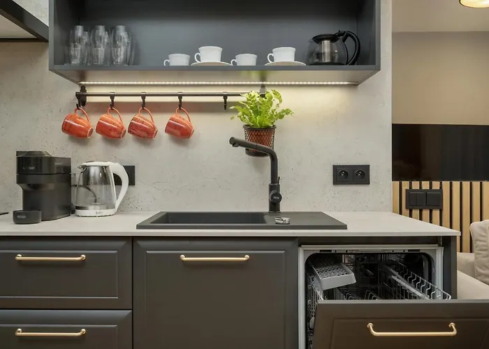 Apartamento Black And Beige With Balcony And Parking In By Renters